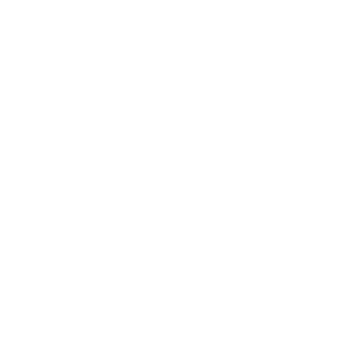 ღვინის მაღაზია